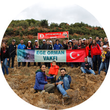Ege ODTÜ Ormanı